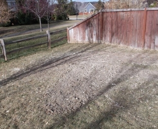 Stump Removal After Clean Up
